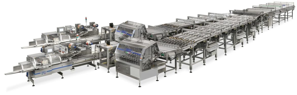 Cake Products