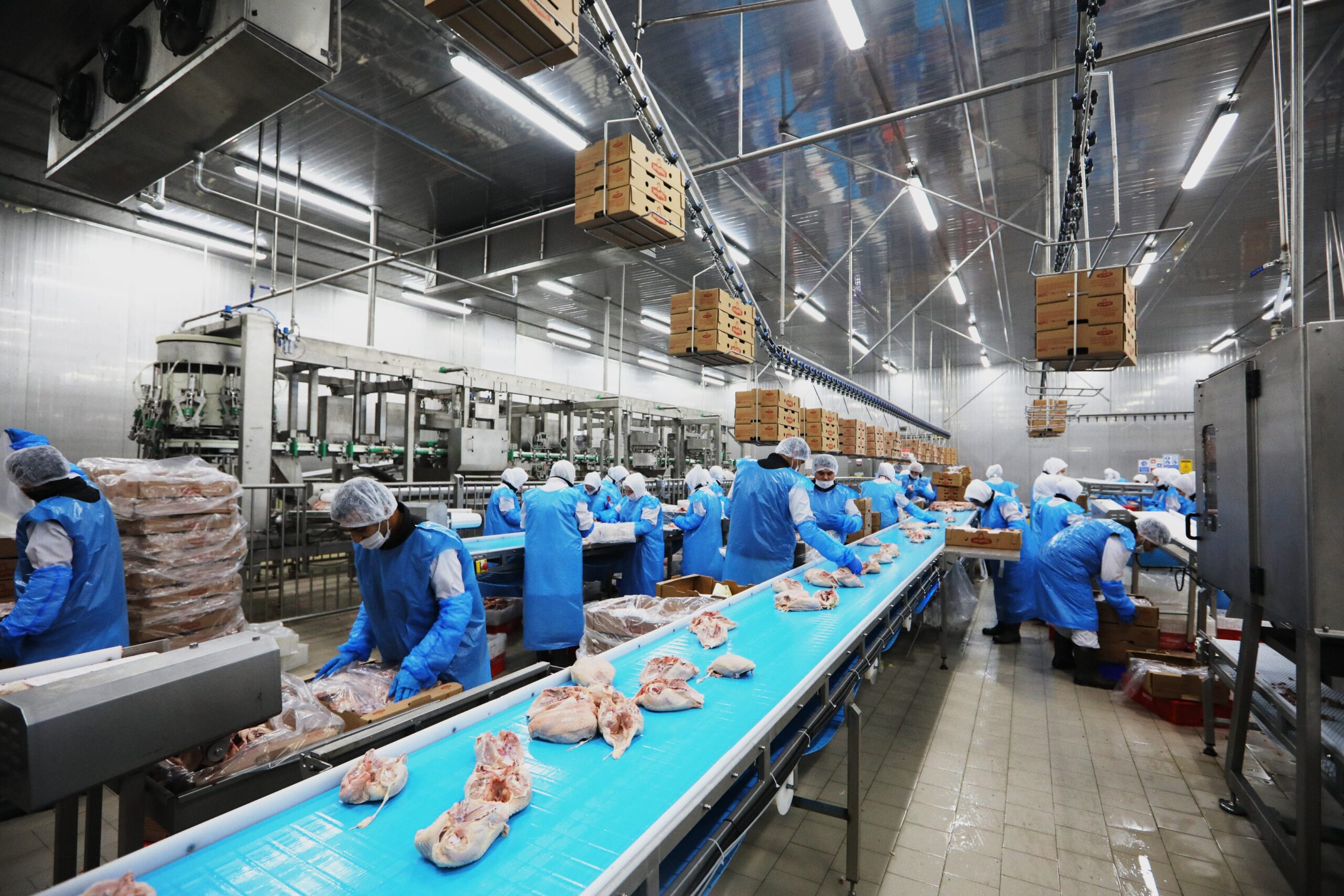 Cake Products